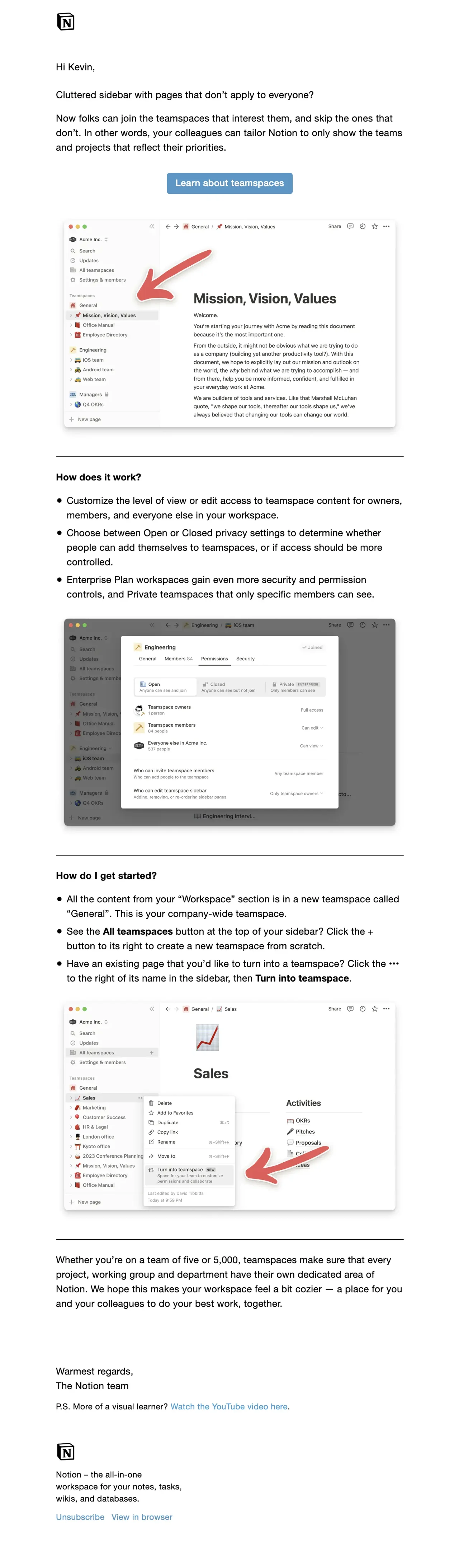 Notion email newsletter