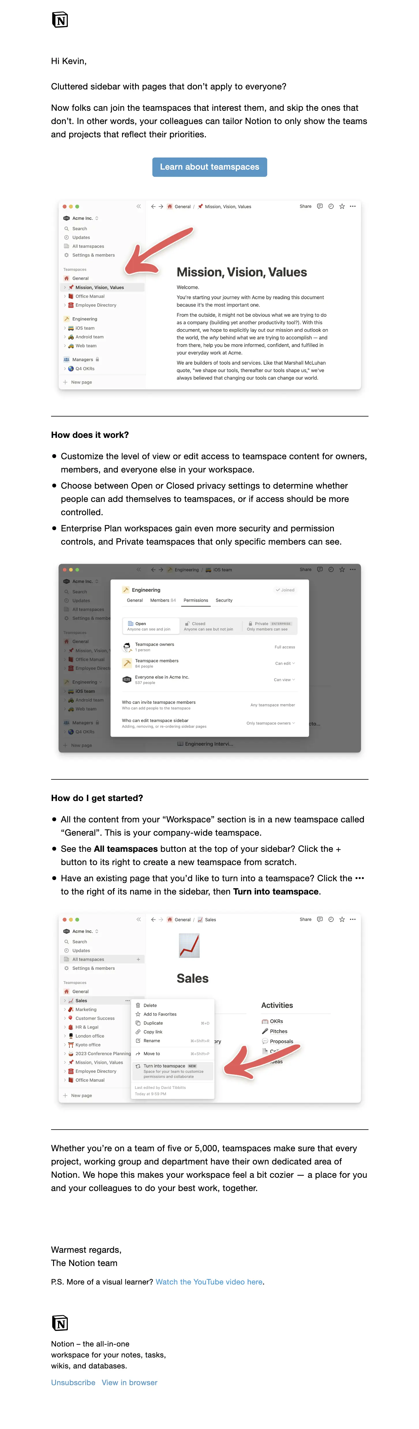 Notion email newsletter